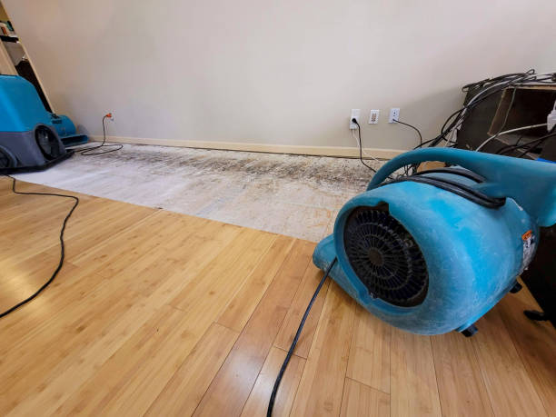 Professional Water Removal technician working in Trenton, FL